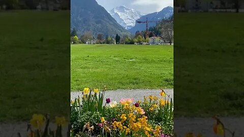 Interlaken 🇨🇭 #switzerland #shorts