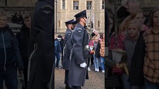 Escort to the word Royal Air force #toweroflondon