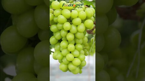 Grapes Benefits-25 #shorts #youtubeshorts