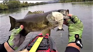 2020 Bull Shad Swimbaits and River Smallmouth!