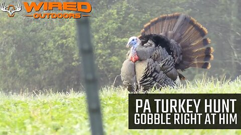 PA Turkey Hunt Gobble Right At Him