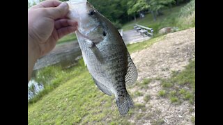 Catching Largemouth Bass And Crappie On Live Bait In Our Secret Fishing Hole