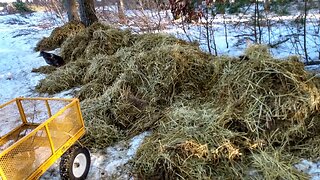 Barn Cleaning!