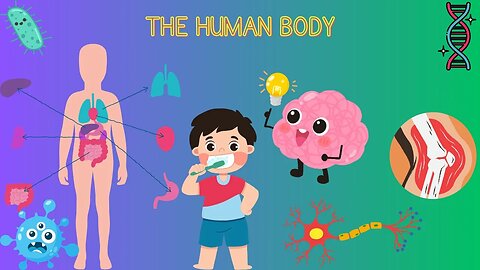 "Amazing Human Body Explained for Kids! 🌟"
