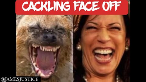 Kamala Harris cackling competition ￼ with hyena #UCNYNEWS￼￼