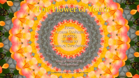 The Flower of Youth