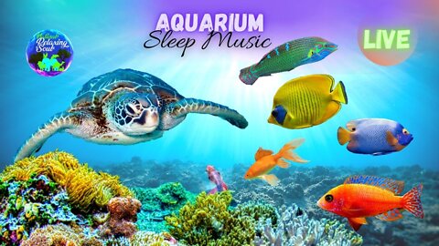 Relaxing Music, Aquarium ao vivo: Música relaxante, Deep Sleep music , Study, Sleep