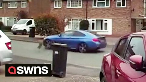 Shocking footage shows moment cat SURVIVES being run over by speeding car