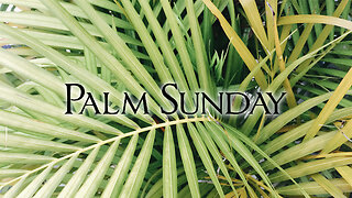 Palm Sunday Luke 19:29-48