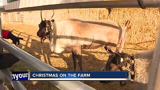 Christmas on the Farm