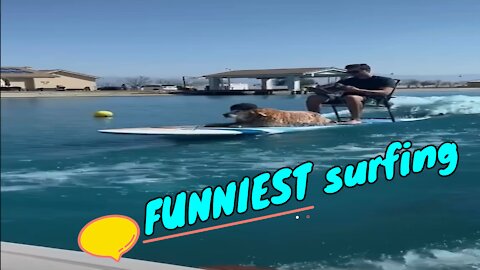Summer Outing funny video