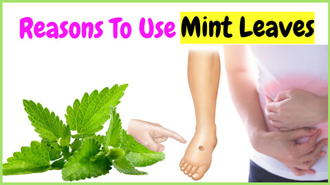 10 Health Benefits of Mint Leaves That You Should Know