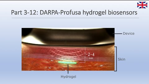 Part 3-12: DARPA-Profusa hydrogel biosensors (EN)