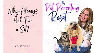 Why Are We Asking Our Dogs To Sit So Much? | The Pet Parenting Reset, episode 11