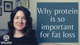 Why protein is so important for fat loss