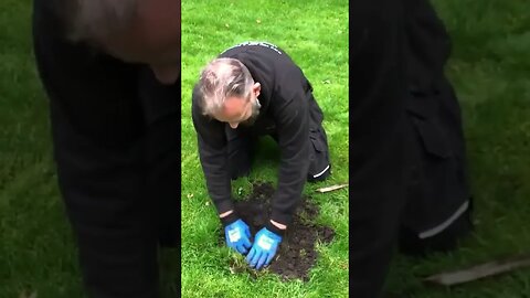 How to catch garden MOLES #pestcontrolservices #gardenpests #silagemaking