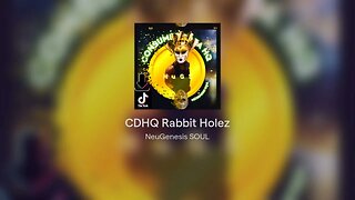 CDHQ Rabbit Holez