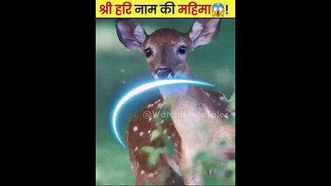 श्री हरि नाम की महिमा😱!|#shorts #Vishnubhagwan #Narayanbhagwan