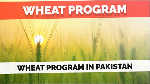 "Wheat Prosperity Initiative: Cultivating Growth in Pakistan"