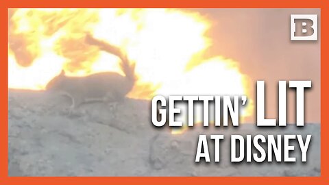 WHAT? I Like It HAWT! Squirrel Fearlessly Hangs Out at Disney Volcano Attraction