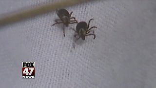 Livingston, Washtenaw counties named 'known risk' for contracting Lyme disease