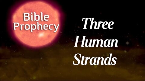 Three Strands of the Human Family - Bible Prophecy with Dr. August Rosado