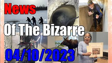 News Of The Bizarre 04102023