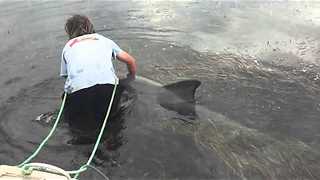 Man Saves Distressed Dolphin Trapped In Heavy Seaweed
