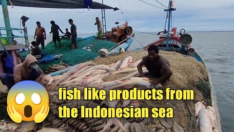 fishing for six months in the Indonesian sea