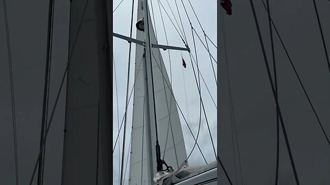 Sailing a 35 ton sailboat with a staysail #shorts
