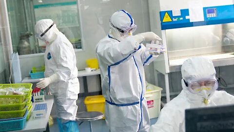 Covishield-Like Vaccine May Help Fight Nipah Virus; Found Successful in Animal Model Trials