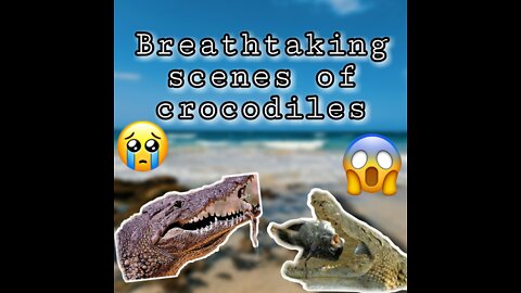 amazing moments of crocodile attack on animals