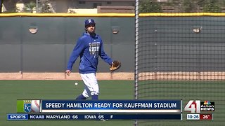 Hamilton brings extra edge to KC's outfield