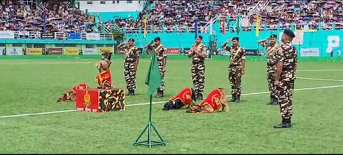 Indian Army Dogs Squad Performance! Army Day celebration