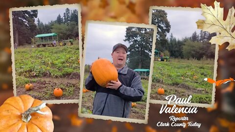 The Vancouver Pumpkin Patch fun for all ages