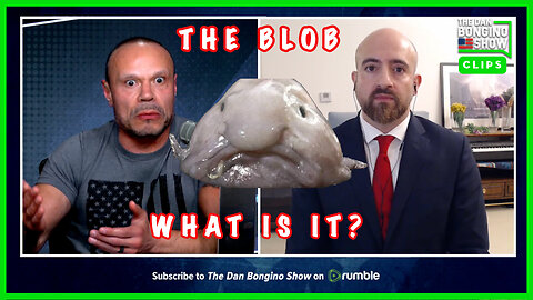 The Blob. What Is It?
