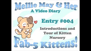 Video Diary Entry 004: Introductions to Mellie's Fab-Five and Tour of Kitten Nursery