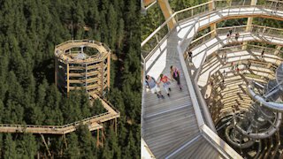 Voici de quoi aura l'air l'immense sentier dans les arbres dans les Laurentides (PHOTOS)