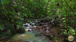 3hrs of calming river water flowing - Water Sounds - Nature ASMR