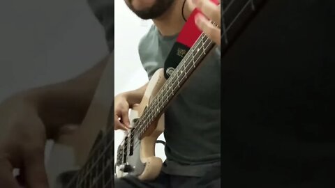 Show Me How to Live -Audioslave (flea jazz bass)