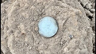 Queen Victoria Shines On The Field Metal Detecting With Minelab