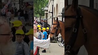 A druid strokes the horse #horseguardsparade