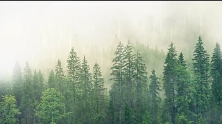 Relaxing rain sounds for sleep, studying, meditation and relax