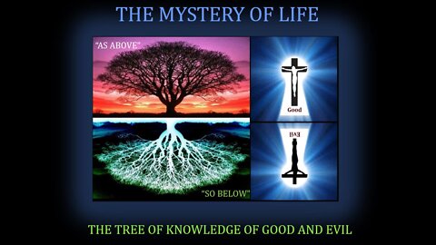 Mystery of Life: "Souls are Hunted to Birth Locusts in Pit"; "Frequencies & Mind & Matter"