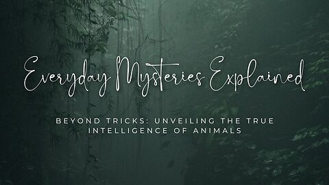 Beyond Tricks: Unveiling the True Intelligence of Animals | Everyday Mysteries Explained