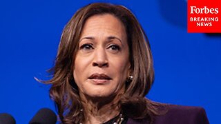 Here Are The Weaknesses In The Kamala Harris Campaign: Top Pollster|News Empire ✅