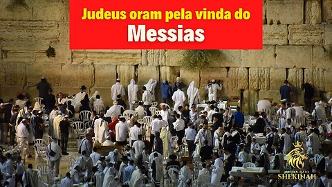 Judeus oram pela vinda do Messias #messias