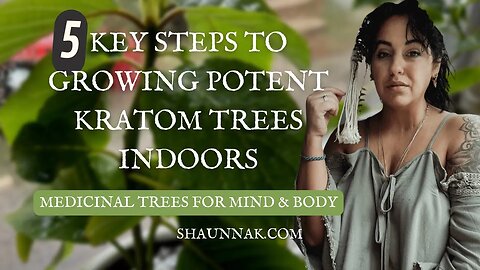 5 Key Steps To Growing Potent Kratom Trees Indoors Successfully (even in the PNW🌲)