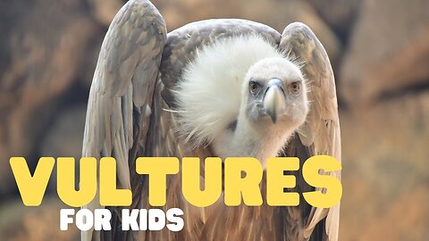 Vultures for Kids | Learn all about these scavenger birds!