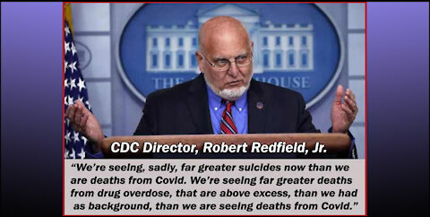 More Suicides and Drugs Than Death From Covid (Robert Redfield, CDC)